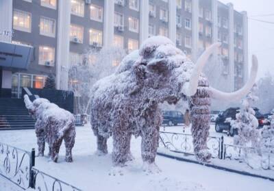 Международный мамонтовый форум состоится летом в Якутске