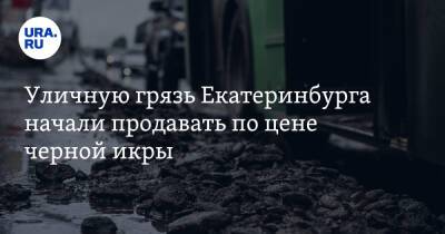 Уличную грязь Екатеринбурга начали продавать по цене черной икры. Скрин