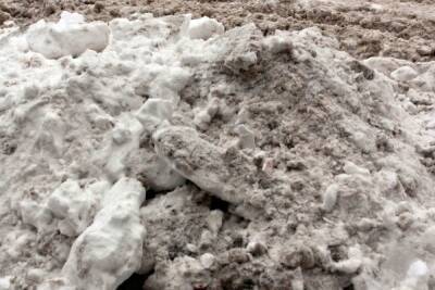 Росприроднадзор проверит сброс грязного снега в Охту в районе Мурино