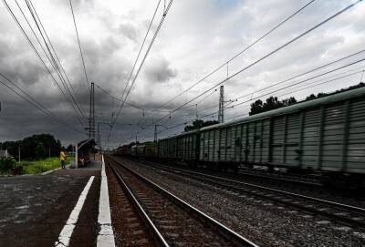 Количество контейнерных поездов, отправленных из Новосибирской области, в январе увеличилось на 14,6 %
