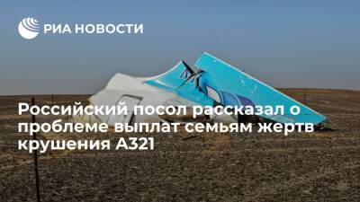 Посол Борисенко: вопрос компенсаций семьям жертв крушения A321 требует быстрого решения