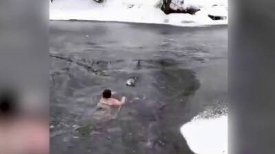 Жительница Воронежа бросилась в реку и спасла тонущего пса