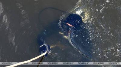 В Минске в канале Слепянской водной системы утонул мужчина