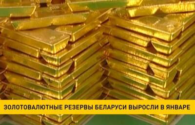 Золотовалютные резервы Беларуси выросли в январе на 99 млн долларов