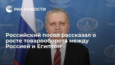 Посол Борисенко: товарооборот России с Египтом в 2021 году вырос на десять процентов