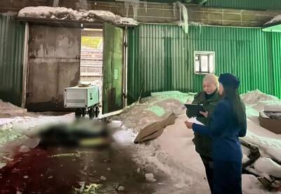 Публикуем фото с места трагедии в Гатчинском районе, где ледяная глыба убила рабочего