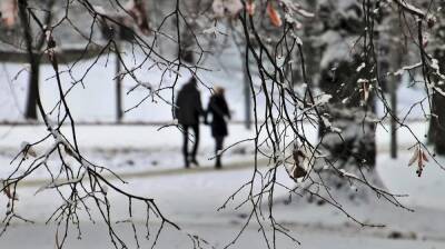 Февральская температура в Воронеже превысит норму на 11 градусов