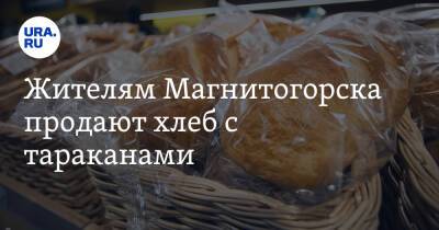 Жителям Магнитогорска продают хлеб с тараканами. Фото