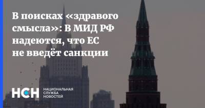 Александр Панкин - В поисках «здравого смысла»: В МИД РФ надеются, что ЕС не введёт санкции - nsn.fm - Москва - Россия - США - Украина