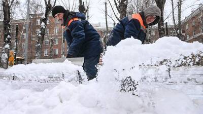 В Москве за первую неделю февраля выпало более четверти месячной нормы осадков