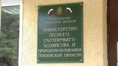 Глава пензенского минлесхоза избавился от приставки «и. о.»