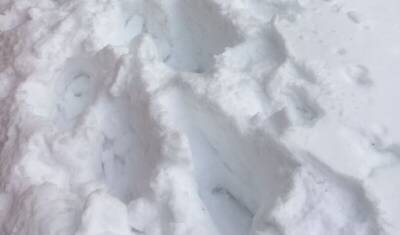 Неубранный снег в Уфе спас жизнь упавшей с восьмого этажа 10-летней девочки