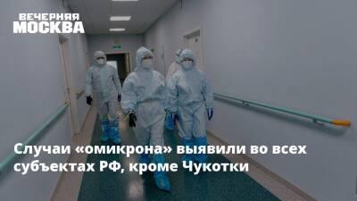 Надежда Чернышова - Случаи «омикрона» выявили во всех субъектах РФ, кроме Чукотки - vm.ru - Москва - Россия - Чукотка