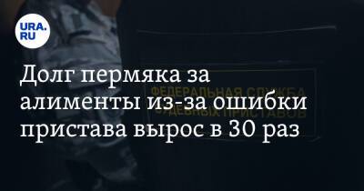 Долг пермяка за алименты из-за ошибки пристава вырос в 30 раз