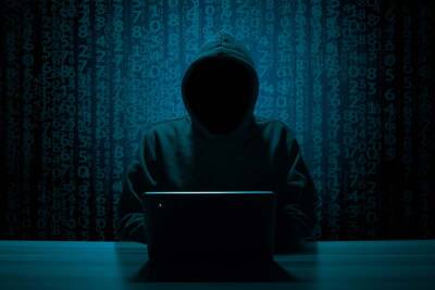 Зауральца обвиняют в хакерских атаках на сайты российских госструктур