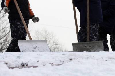 В Петербурге идут обыски по 60 адресам из-за уборки снега