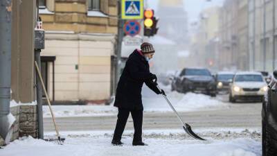В Петербурге завели дела о хищениях участвующими в уборке снега организациями