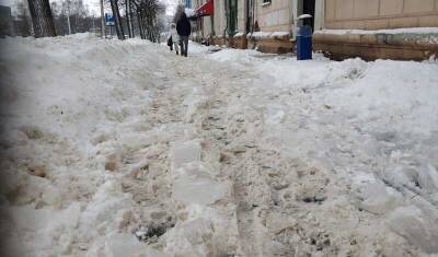 Полиция в Петербурге провела обыски в конторах ЖКХ после жалоб на уборку снега