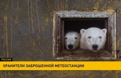 Российский фотограф запечатлел белых медведей на заброшенной полярной станции в Чукотском море