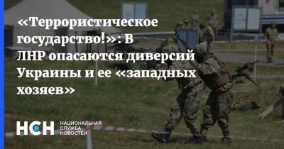 «Террористическое государство!»: В ЛНР опасаются диверсий Украины и ее «западных хозяев»