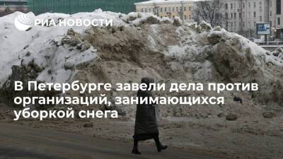 В Петербурге завели дела о хищениях против организаций, занимающихся уборкой снега