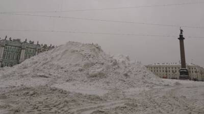 Обыски в десятках жилкомсервисов Петербурга связаны с уборкой снега в городе