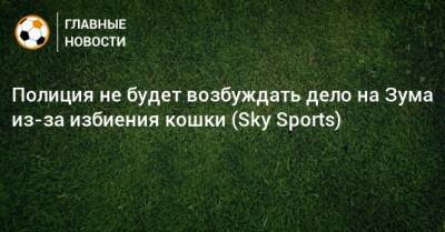 Курт Зума - Полиция не будет возбуждать дело на Зума из-за избиения кошки (Sky Sports) - bombardir.ru