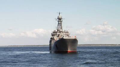 Опубликовано видео прохода российских кораблей через Босфор и Дарданеллы