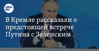 В Кремле рассказали о предстоящей встрече Путина с Зеленским