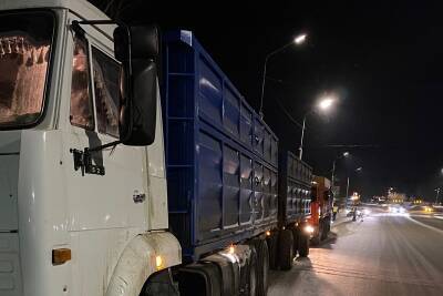 38 тонн куриного мяса пытались незаконно провезти из Казахстана в Курганскую область