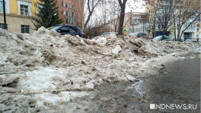 В Санкт-Петербурге проходят массовые обыски по делу о плохой уборке снега