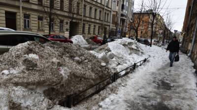 В Петербурге возбудили дела о хищениях при уборке снега