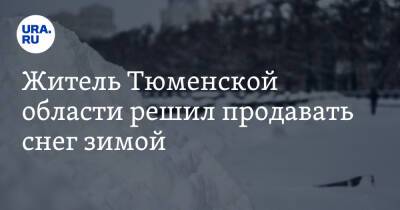 Житель Тюменской области решил продавать снег зимой