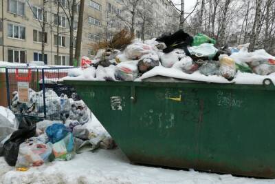 Авгиевы конюшни Петербурга: следом за мусорным коллапсом в Петербурге может случиться платежный