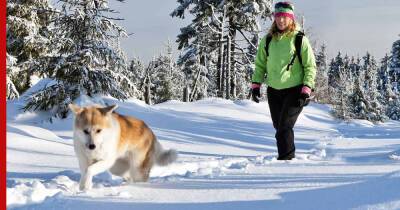 Вместе веселее: 6 советов для улучшения поведения собаки на прогулке