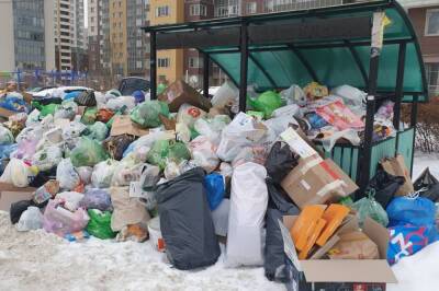 В Центральном районе Петербурга жители начнут платить за вывоз мусор в два раза больше