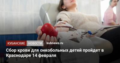 Сбор крови для онкобольных детей пройдет в Краснодаре 14 февраля