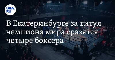 В Екатеринбурге за титул чемпиона мира сразятся четыре боксера