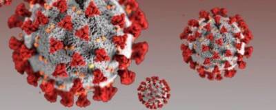 Число подтвержденных случаев коронавируса в мире приблизилось к 400 миллионам
