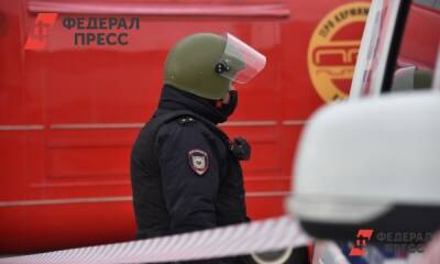 В Екатеринбурге задержали подозреваемого в массовом минировании школ: хотел заработать