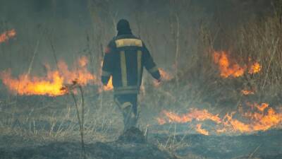 В Приморье с начала года зарегистрировано 20 лесных и природных пожаров