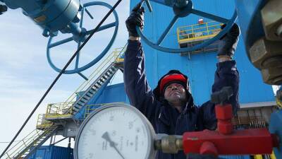 Глава МИД Италии назвал Россию незаменимой для поставок газа в Европу