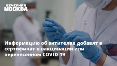 Надежда Чернышова - Информацию об антителах добавят в сертификат о вакцинации или перенесенном COVID-19 - vm.ru - Москва - Россия