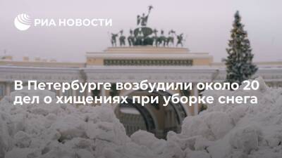Власти Петербурга возбудили около 20 уголовных дел о хищениях при уборке снега