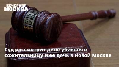 Суд рассмотрит дело убившего сожительницу и ее дочь в Новой Москве