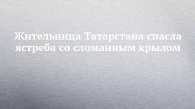 Жительница Татарстана спасла ястреба со сломанным крылом