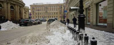 Петербургская «снегоуборочная компания», принадлежавшая азербайджанской диаспоре, «работала» только на бумаге