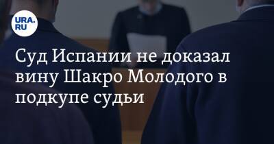 Суд Испании не доказал вину Шакро Молодого в подкупе судьи