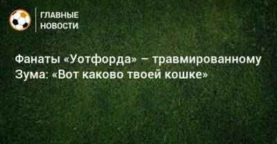Курт Зума - Фанаты «Уотфорда» – травмированному Зума: «Вот каково твоей кошке» - bombardir.ru