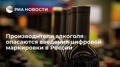 Производители алкоголя в России опасаются подорожания продукции из-за цифровой маркировки